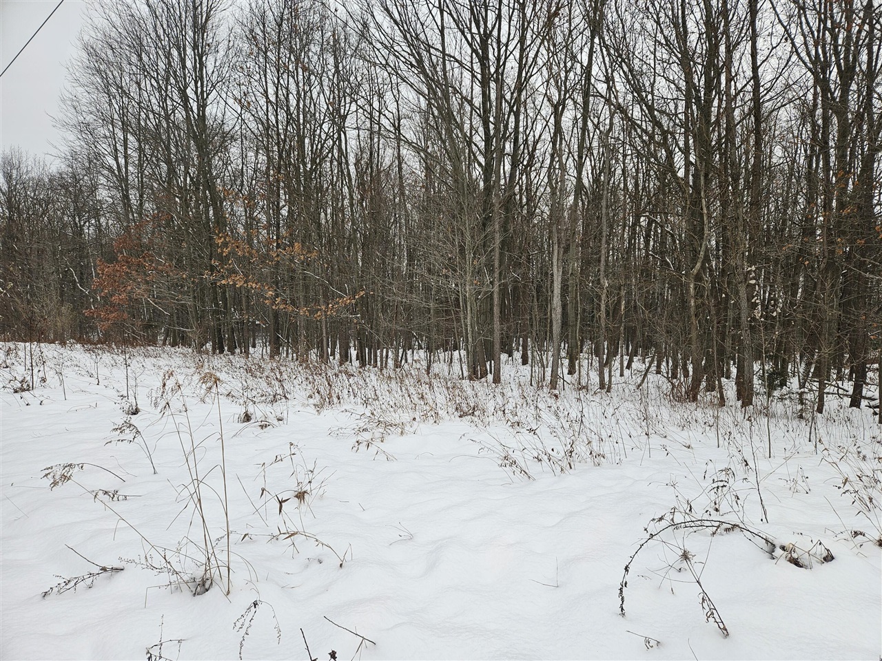 14th Avenue, South Haven, MI, 49090