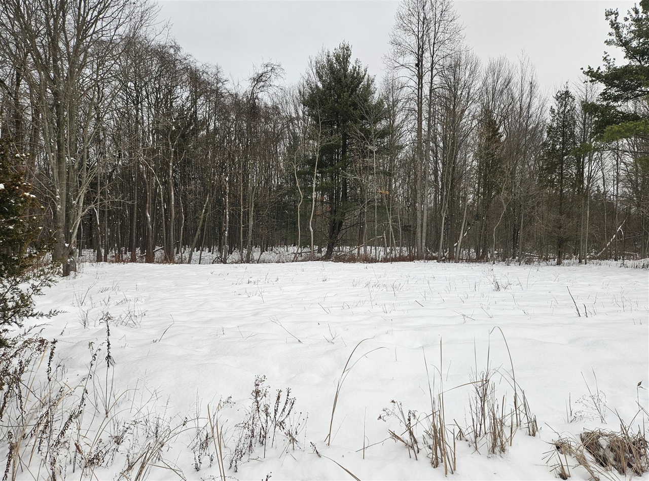 14th Avenue, South Haven, MI, 49090