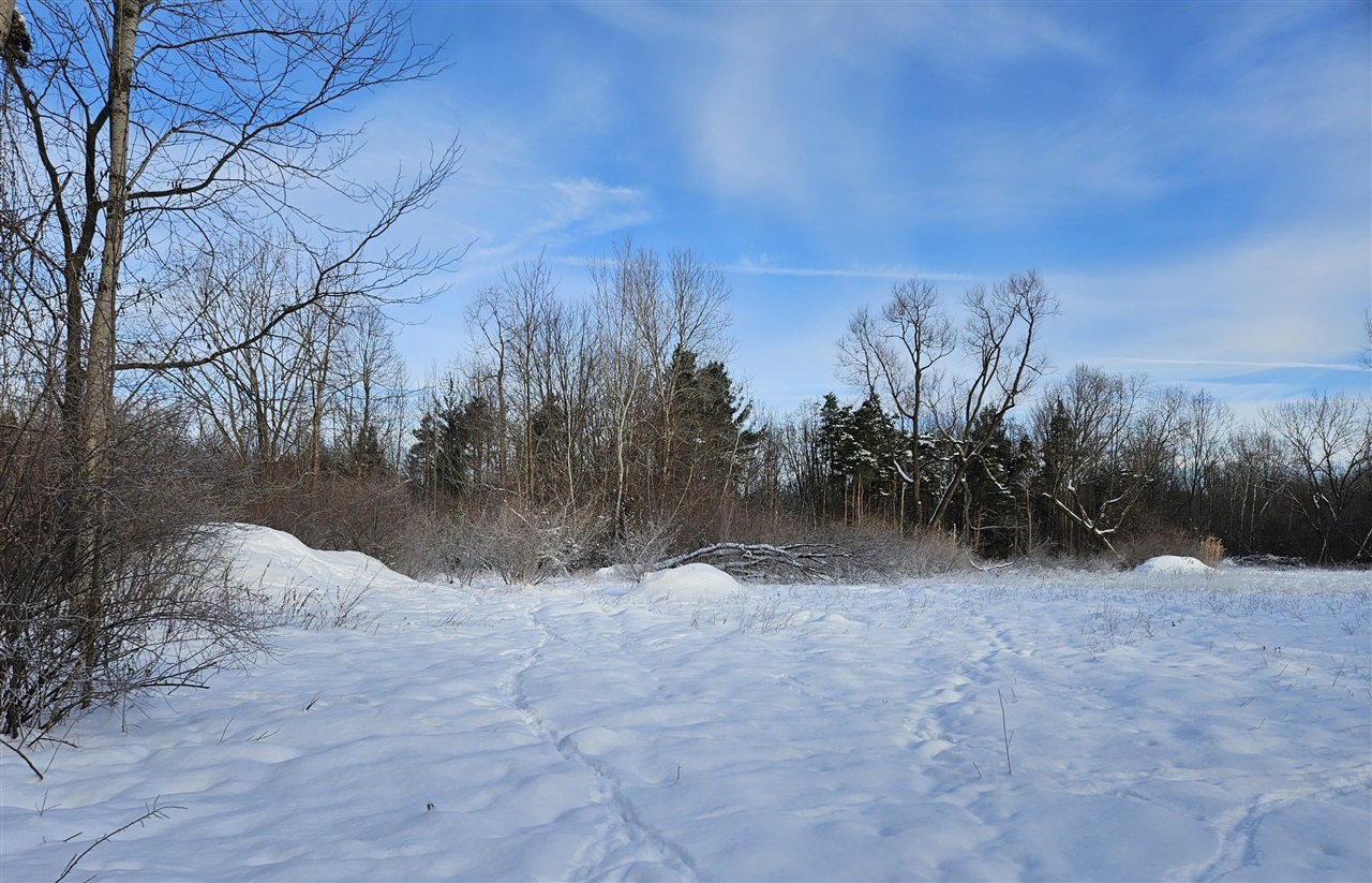 14th Avenue, South Haven, MI, 49090