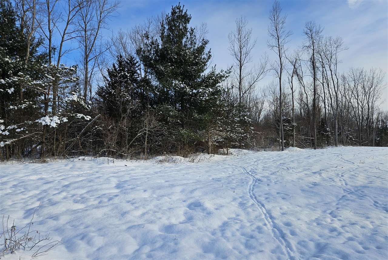 14th Avenue, South Haven, MI, 49090