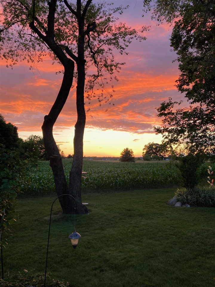 Homes for sale in Belmont, MI | 5363 Chickadee Dr, Belmont, MI 49306 | MLS# 70508722