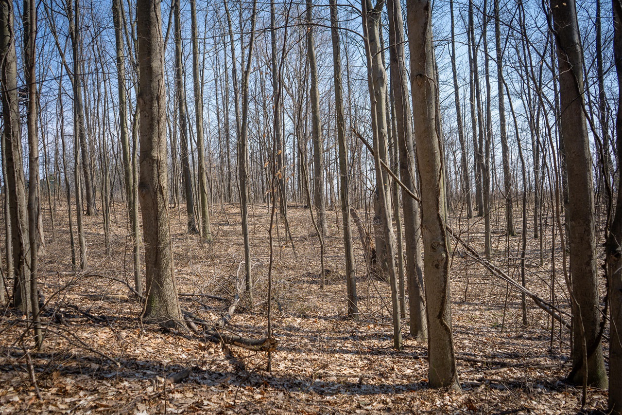 Parcel C W Grant Road, New Era, MI, 49446