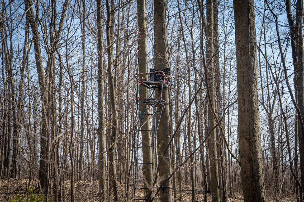 Parcel C W Grant Road, New Era, MI, 49446