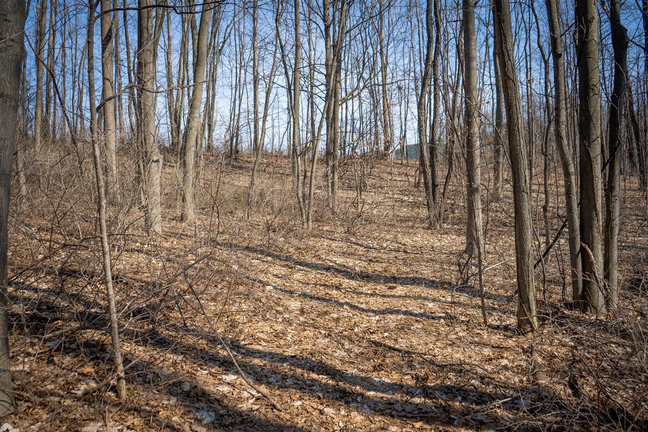 Parcel C W Grant Road, New Era, MI, 49446