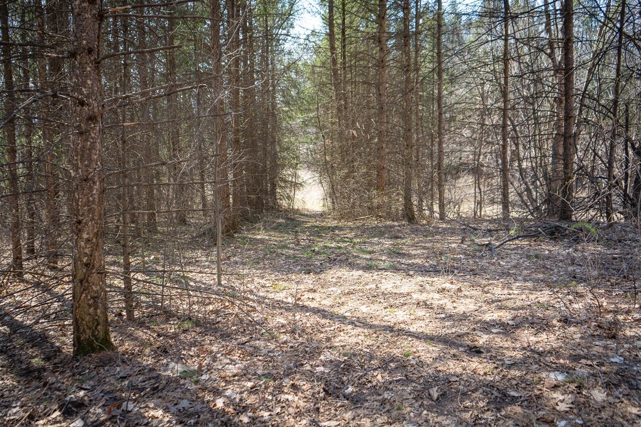 Parcel C W Grant Road, New Era, MI, 49446