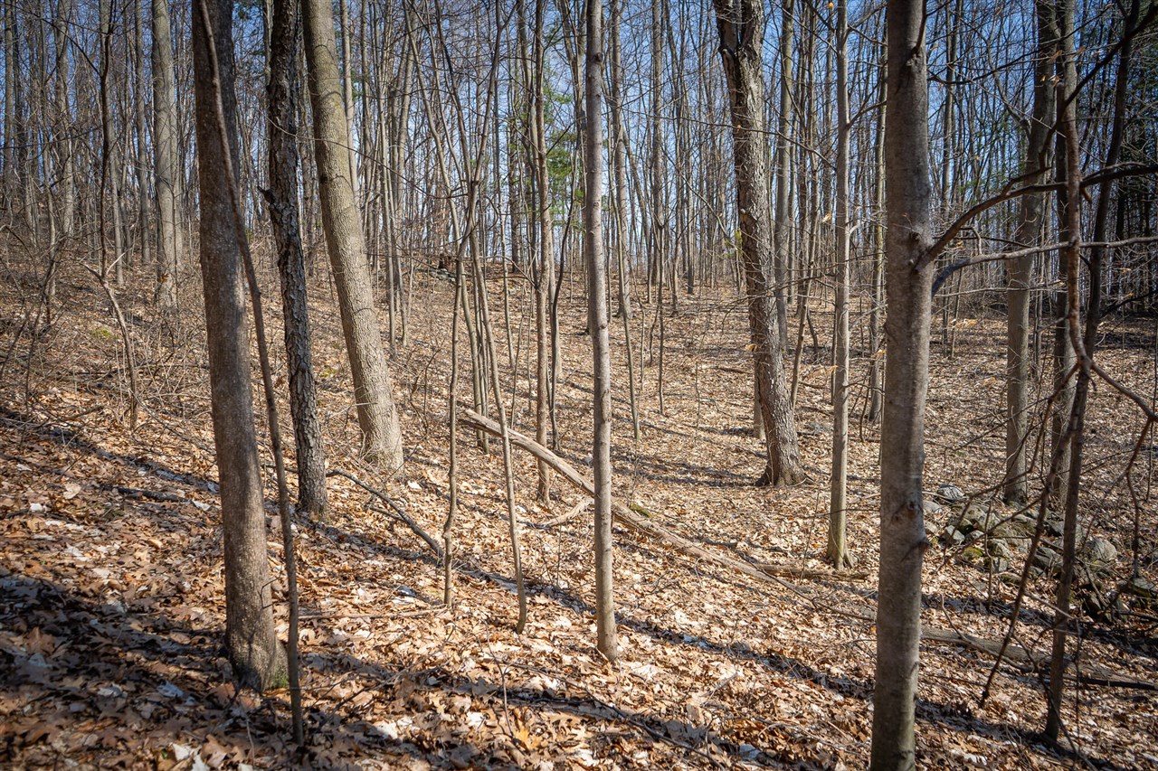 Parcel C W Grant Road, New Era, MI, 49446