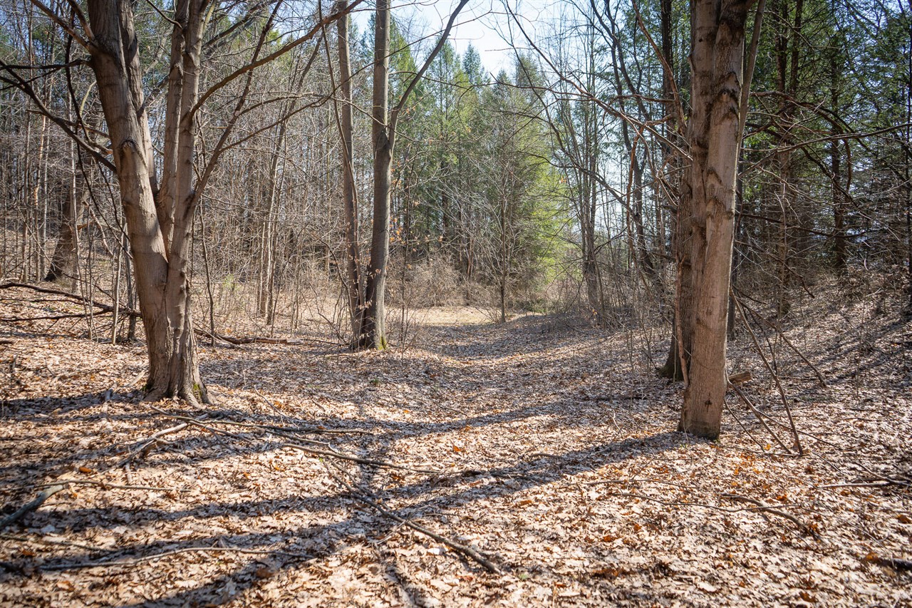 Parcel C W Grant Road, New Era, MI, 49446