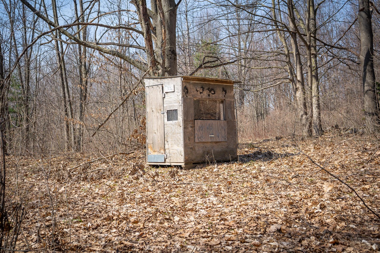 Parcel C W Grant Road, New Era, MI, 49446