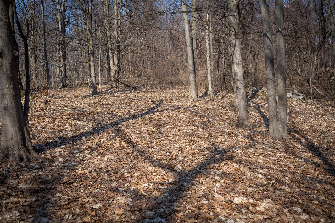 Parcel C W Grant Road, New Era, MI, 49446