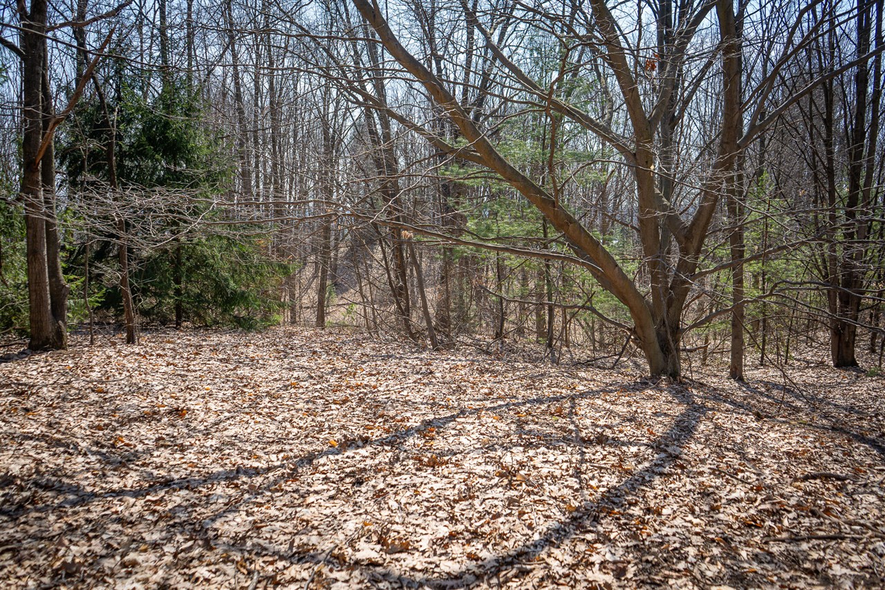 Parcel C W Grant Road, New Era, MI, 49446