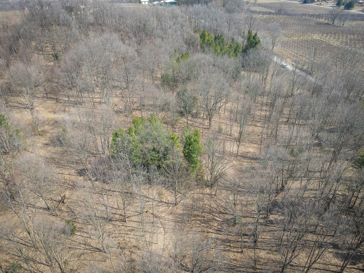 Parcel C W Grant Road, New Era, MI, 49446
