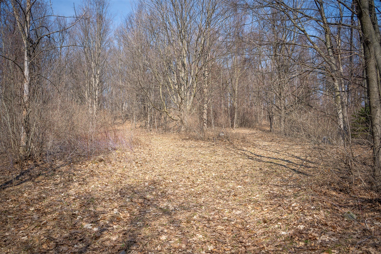 Parcel C W Grant Road, New Era, MI, 49446