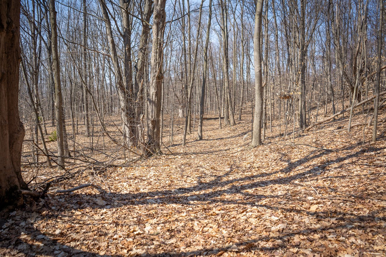 Parcel C W Grant Road, New Era, MI, 49446