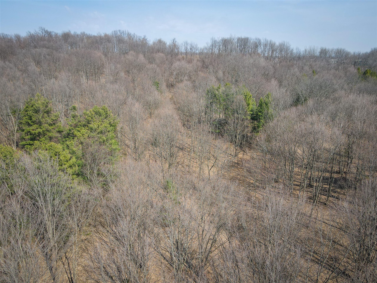 Parcel C W Grant Road, New Era, MI, 49446