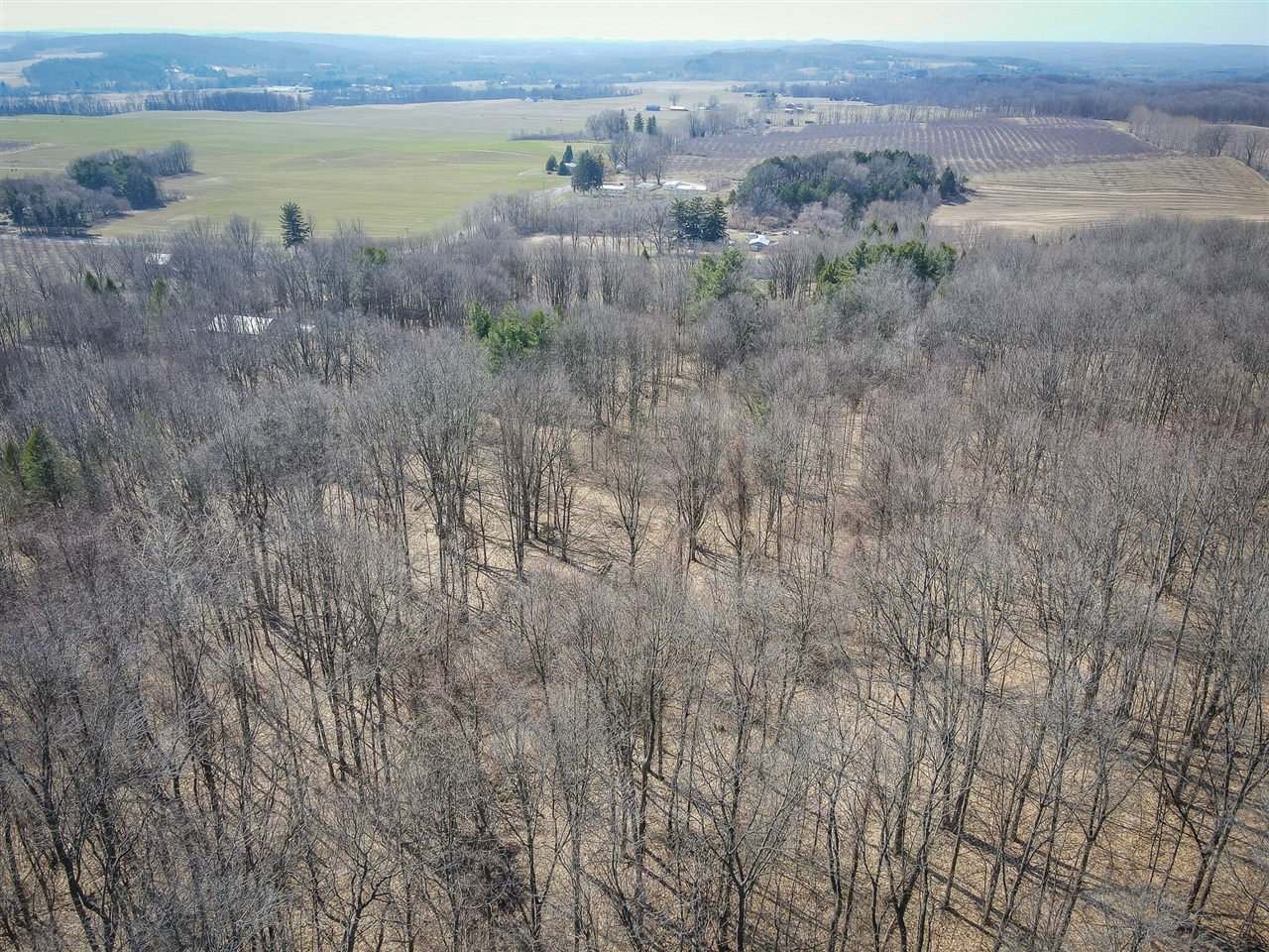 Parcel C W Grant Road, New Era, MI, 49446