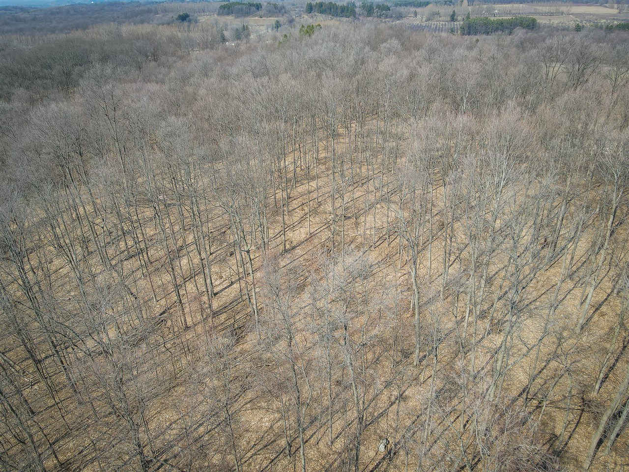 Parcel C W Grant Road, New Era, MI, 49446