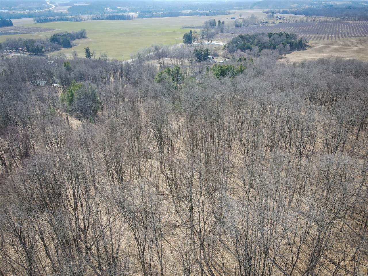 Parcel C W Grant Road, New Era, MI, 49446