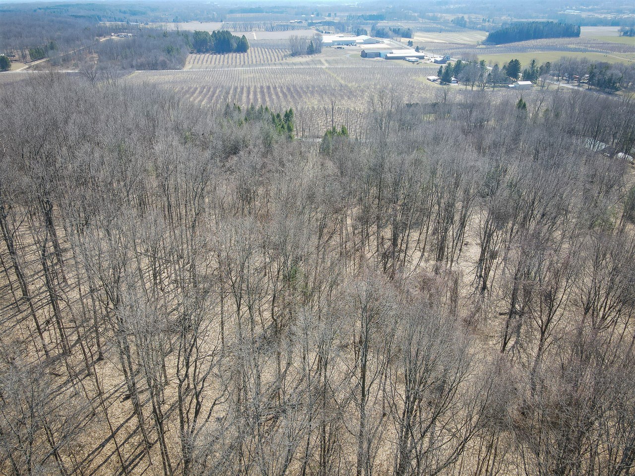 Parcel C W Grant Road, New Era, MI, 49446