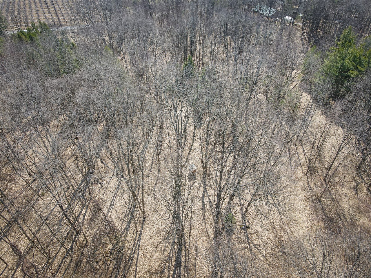 Parcel C W Grant Road, New Era, MI, 49446