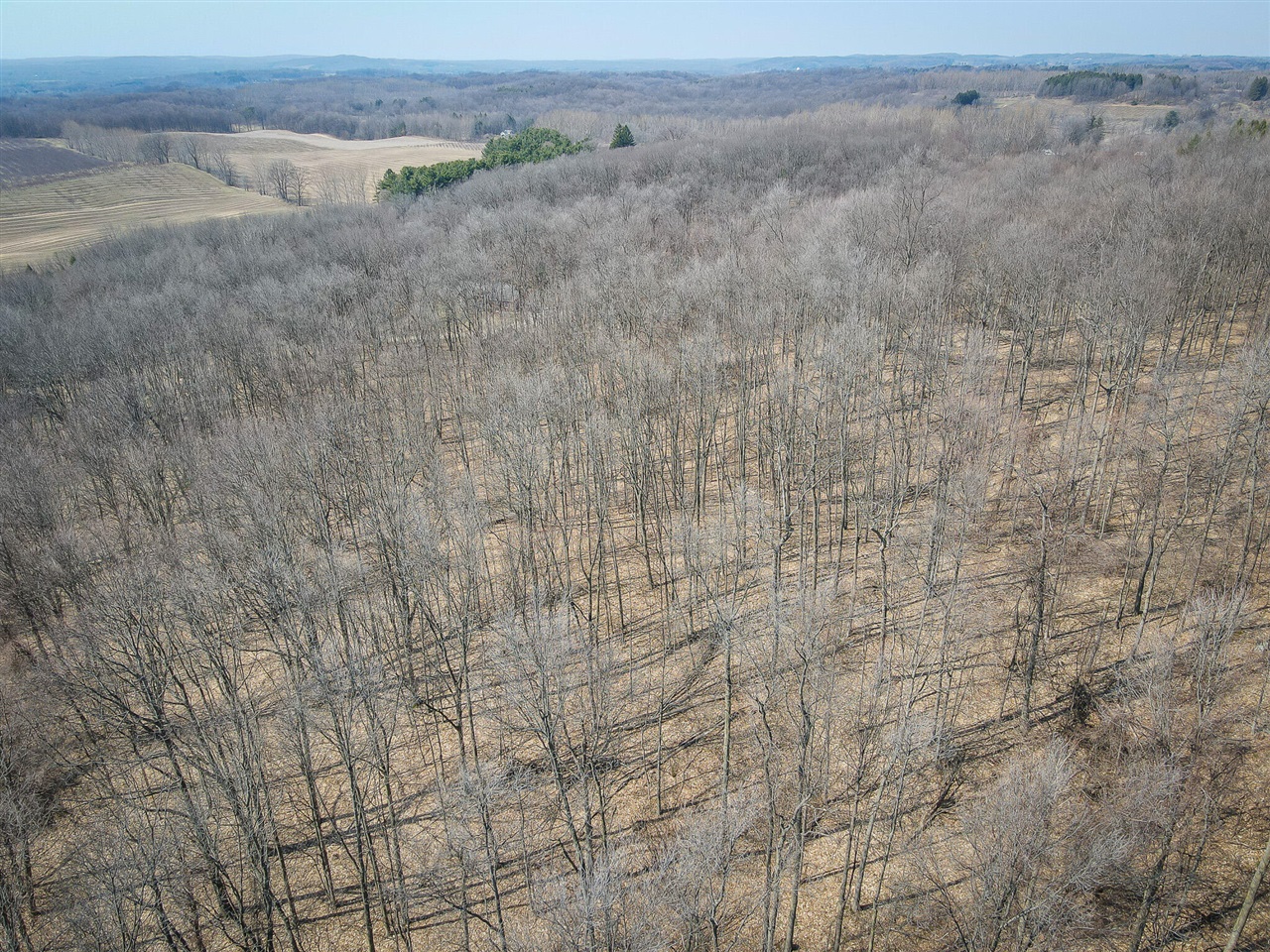 Parcel C W Grant Road, New Era, MI, 49446