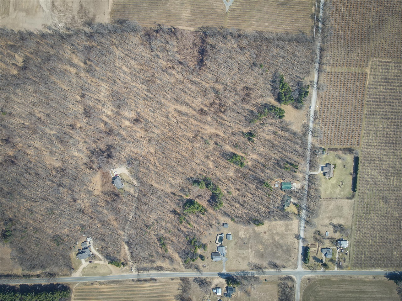 Parcel C W Grant Road, New Era, MI, 49446