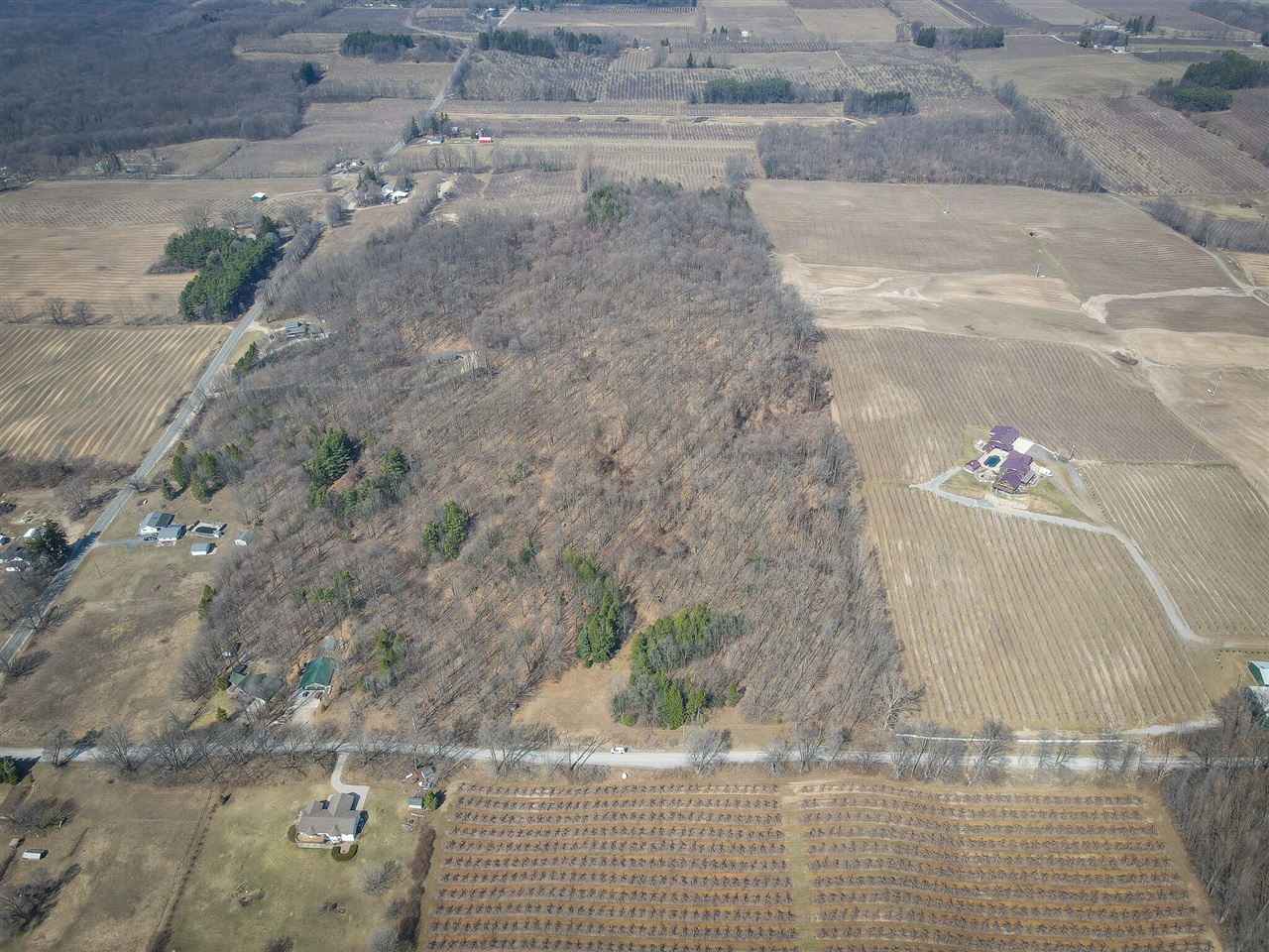 Parcel C W Grant Road, New Era, MI, 49446