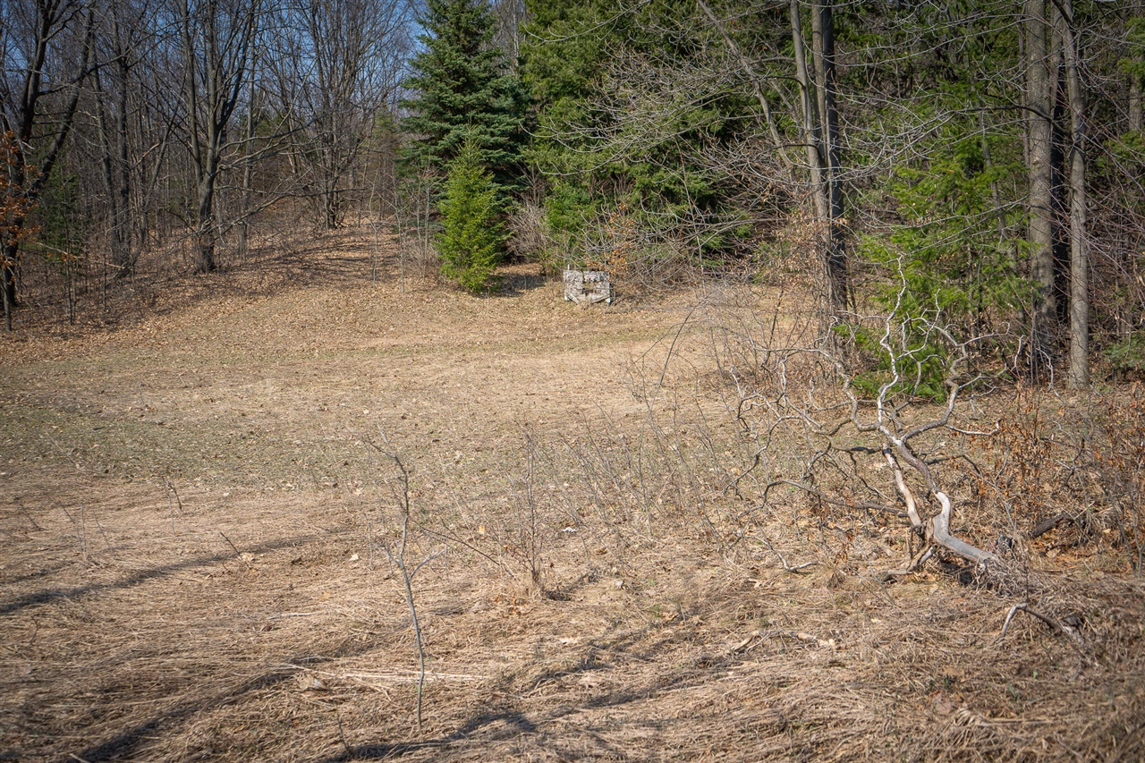 Parcel C W Grant Road, New Era, MI, 49446