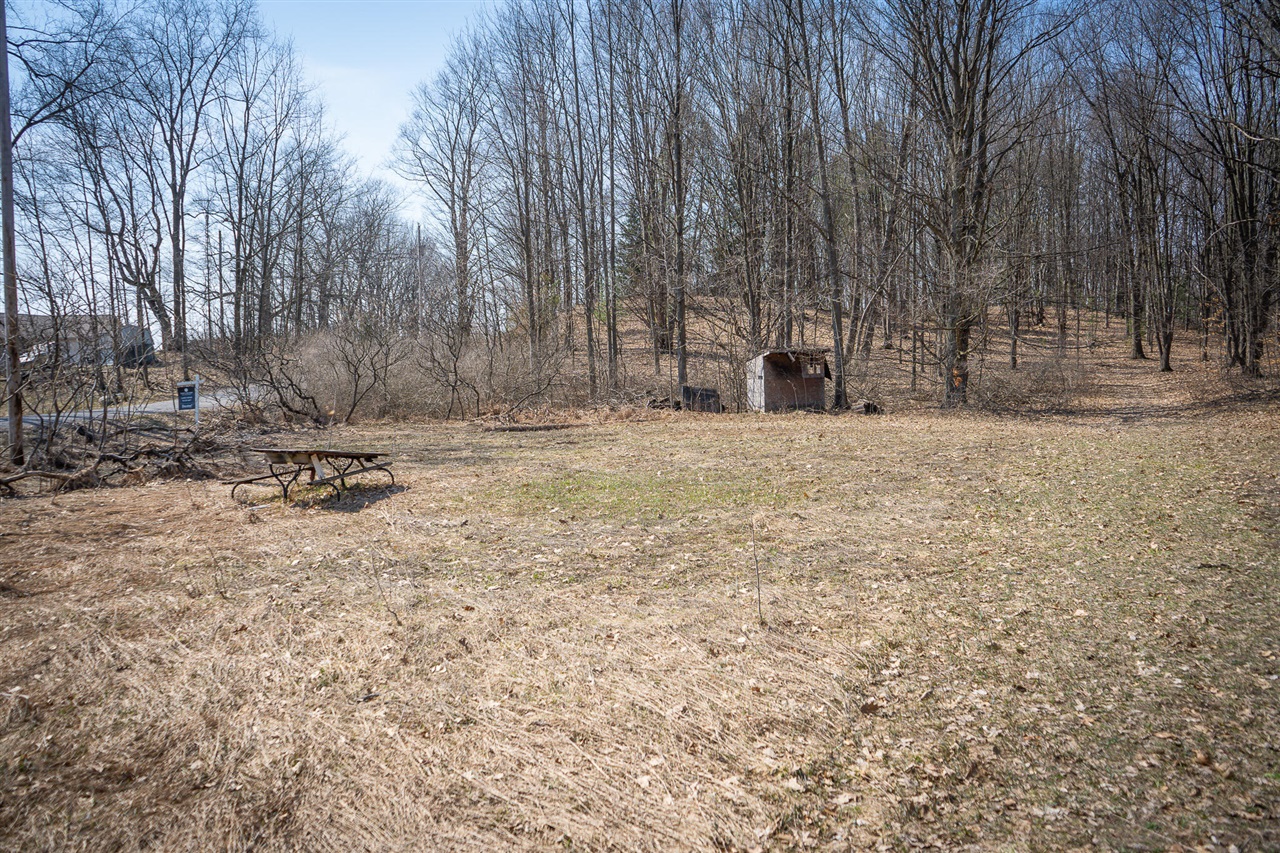 Parcel C W Grant Road, New Era, MI, 49446