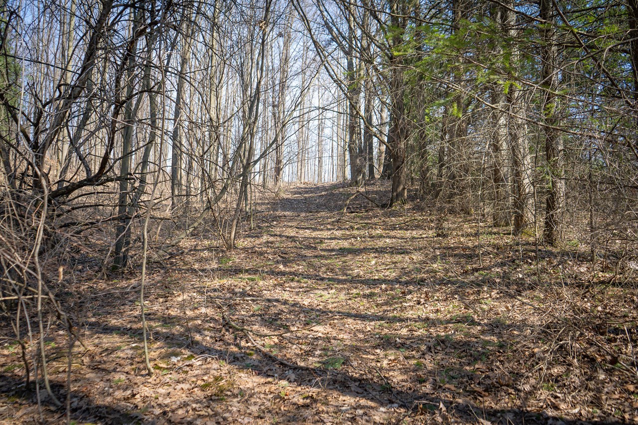 Parcel C W Grant Road, New Era, MI, 49446