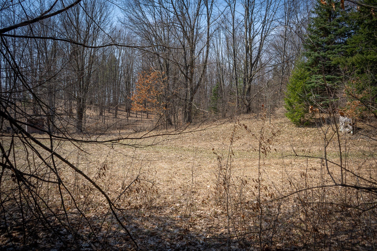 Parcel C W Grant Road, New Era, MI, 49446