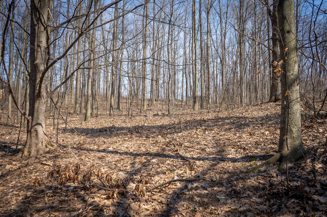 Parcel C W Grant Road, New Era, MI, 49446