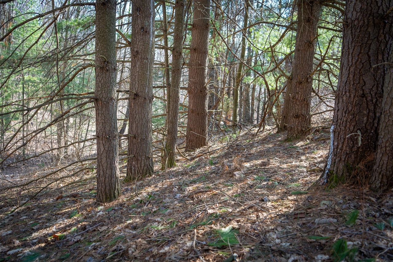 Parcel B S 88th Avenue, New Era, MI, 49446