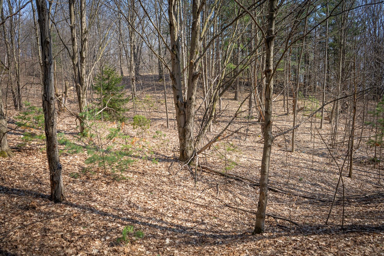 Parcel B S 88th Avenue, New Era, MI, 49446