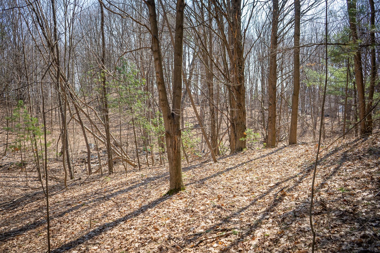 Parcel B S 88th Avenue, New Era, MI, 49446