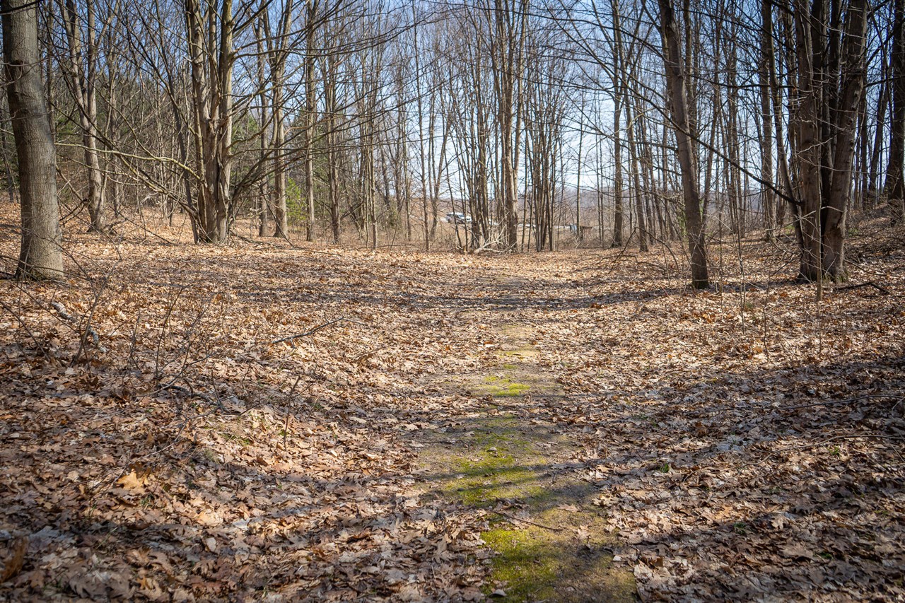 Parcel B S 88th Avenue, New Era, MI, 49446