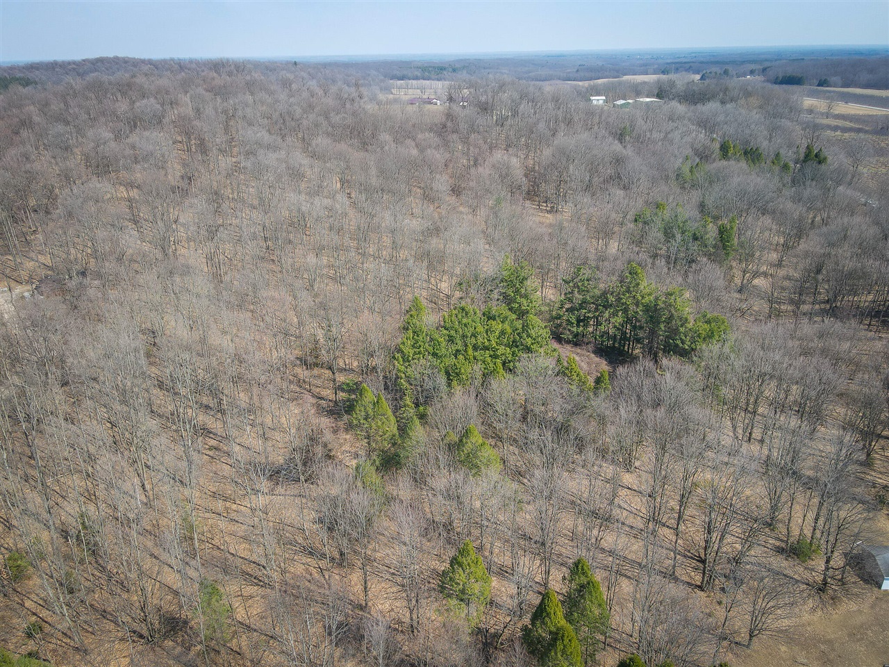 Parcel B S 88th Avenue, New Era, MI, 49446