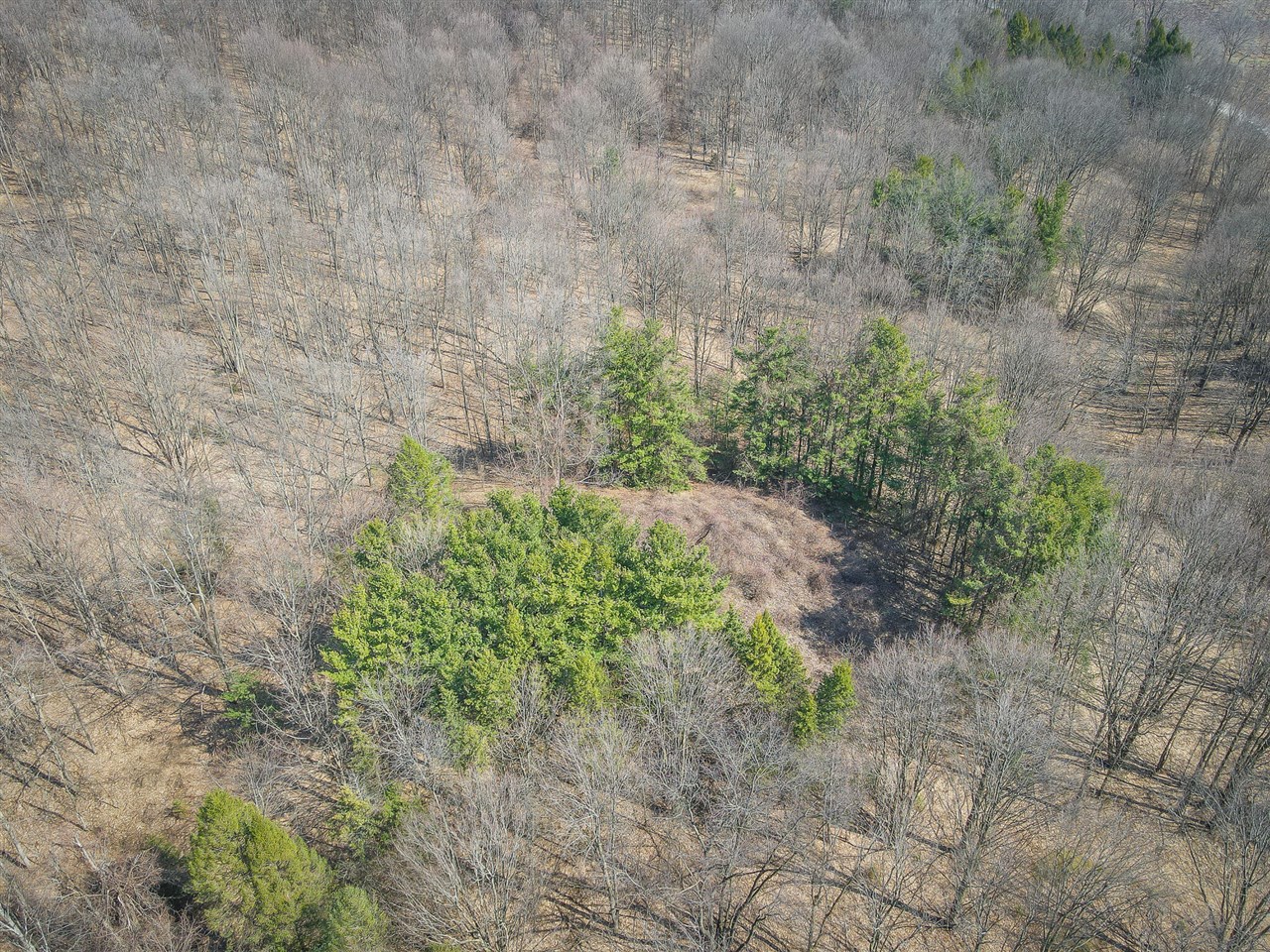 Parcel B S 88th Avenue, New Era, MI, 49446