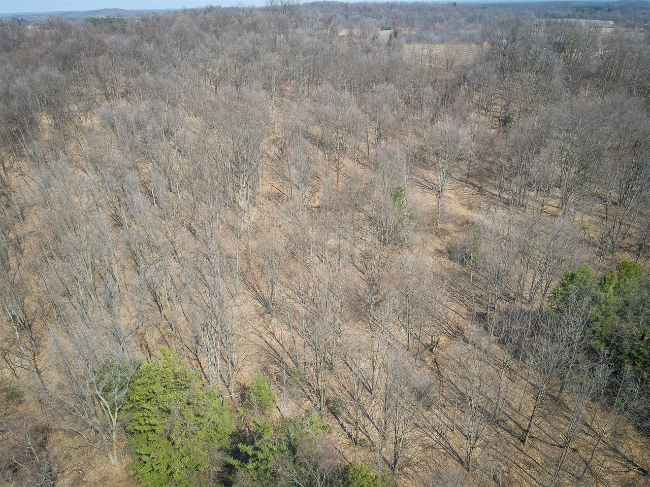 Parcel B S 88th Avenue, New Era, MI, 49446