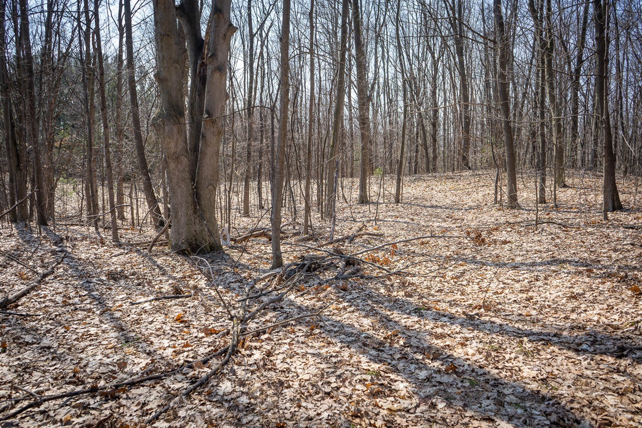 Parcel B S 88th Avenue, New Era, MI, 49446