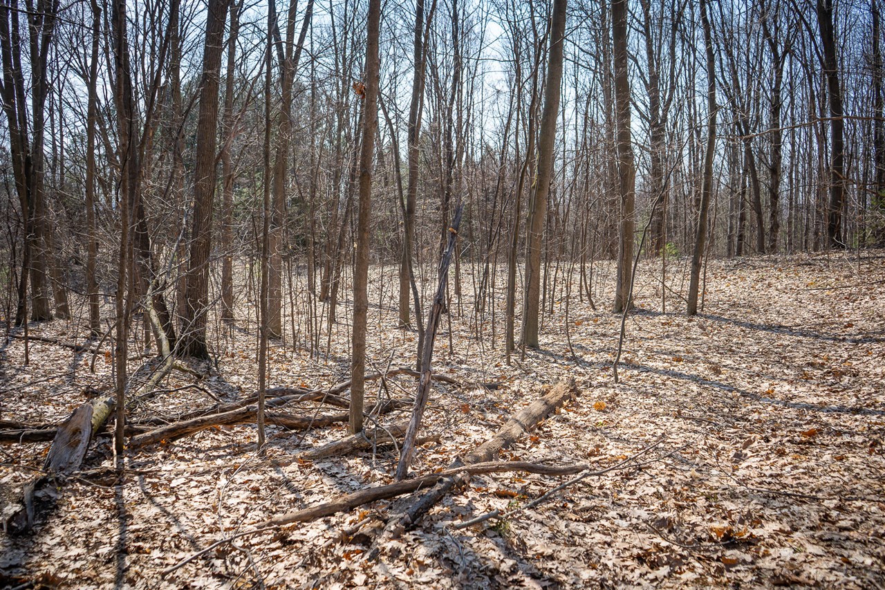 Parcel B S 88th Avenue, New Era, MI, 49446