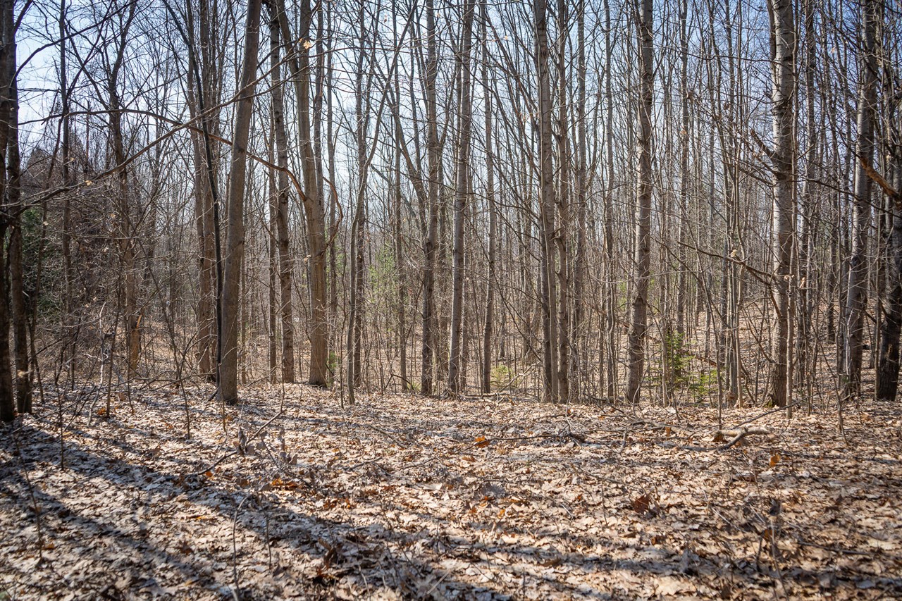 Parcel B S 88th Avenue, New Era, MI, 49446