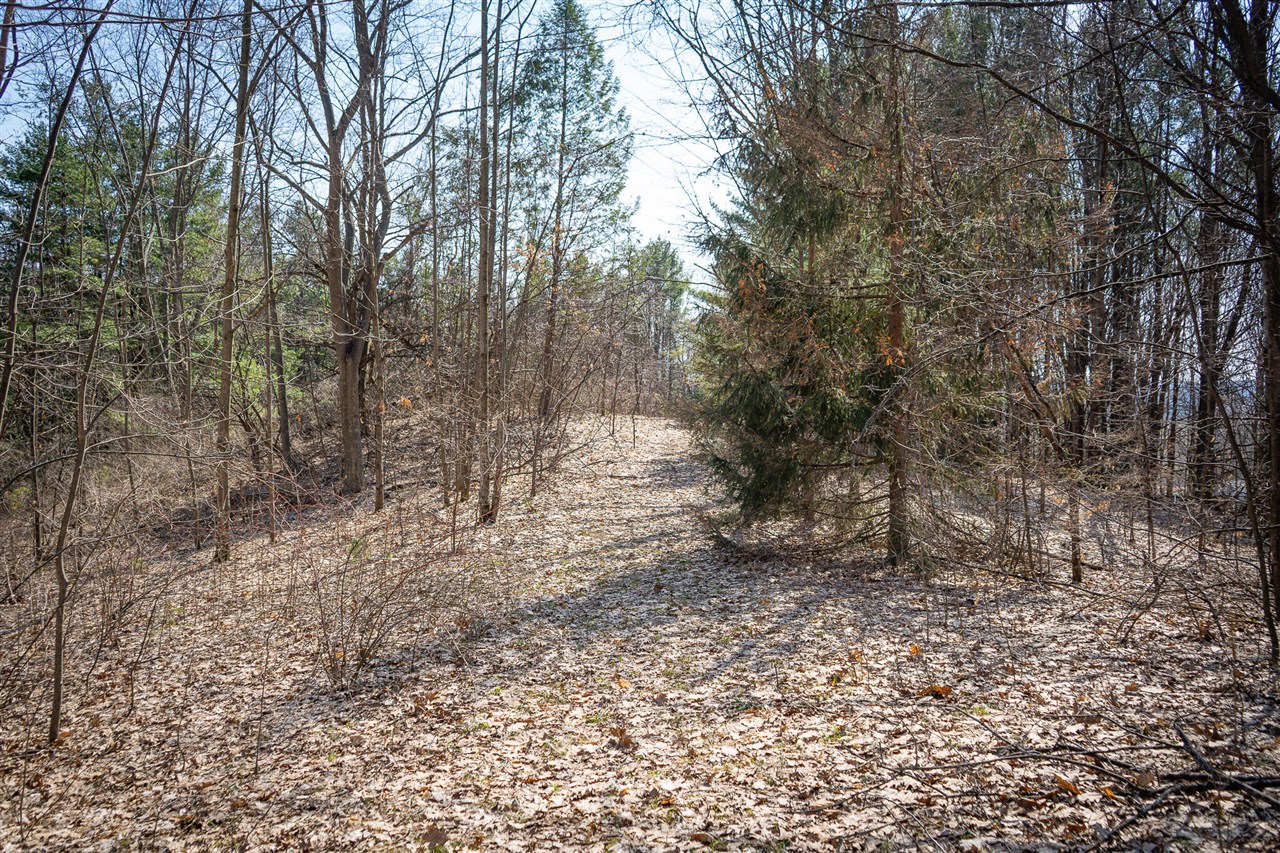 Parcel B S 88th Avenue, New Era, MI, 49446