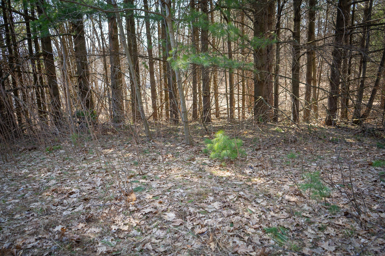 Parcel B S 88th Avenue, New Era, MI, 49446