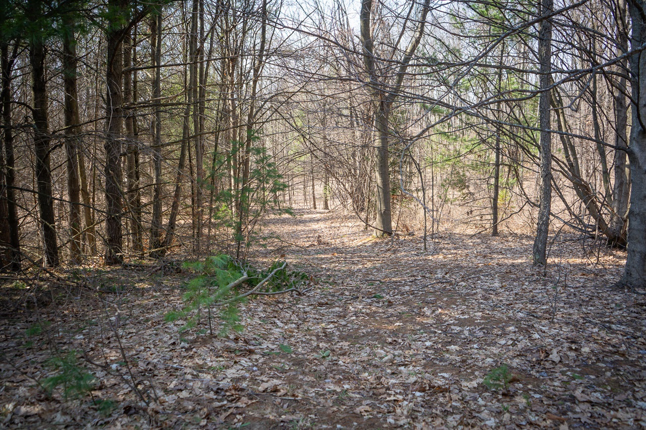 Parcel B S 88th Avenue, New Era, MI, 49446