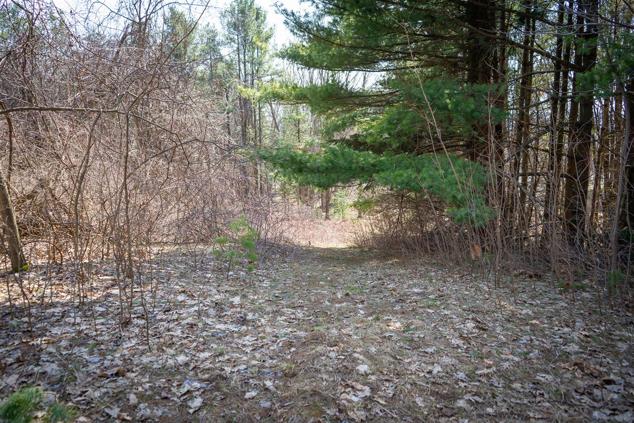 Parcel B S 88th Avenue, New Era, MI, 49446