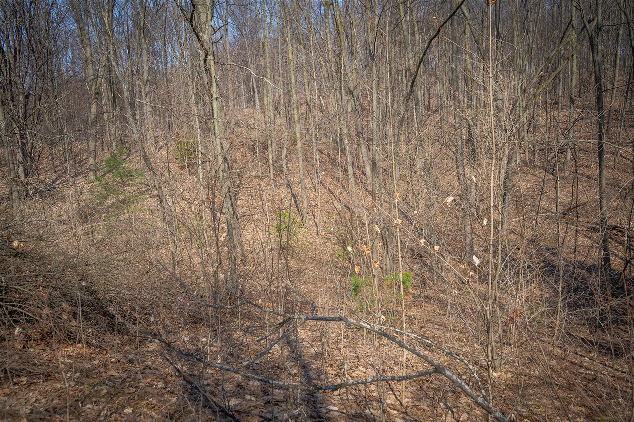 Parcel B S 88th Avenue, New Era, MI, 49446