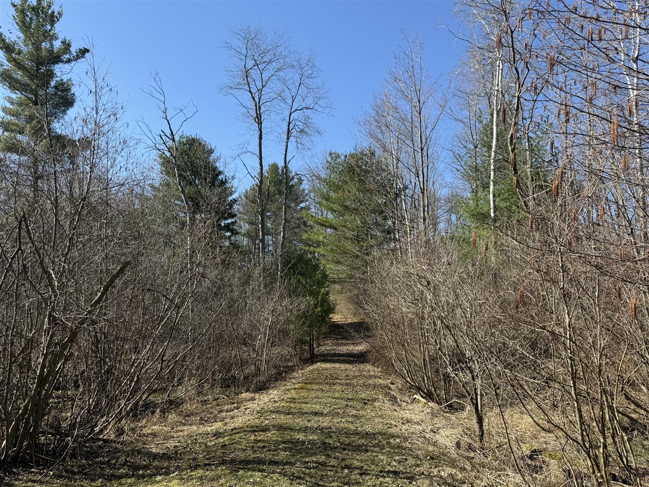 3345 W Madison Road, Hart, MI, 49420-8427