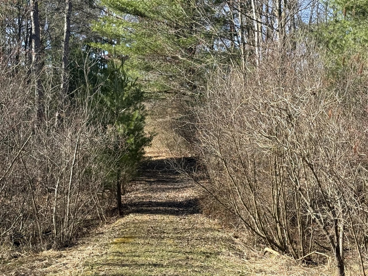 3345 W Madison Road, Hart, MI, 49420-8427