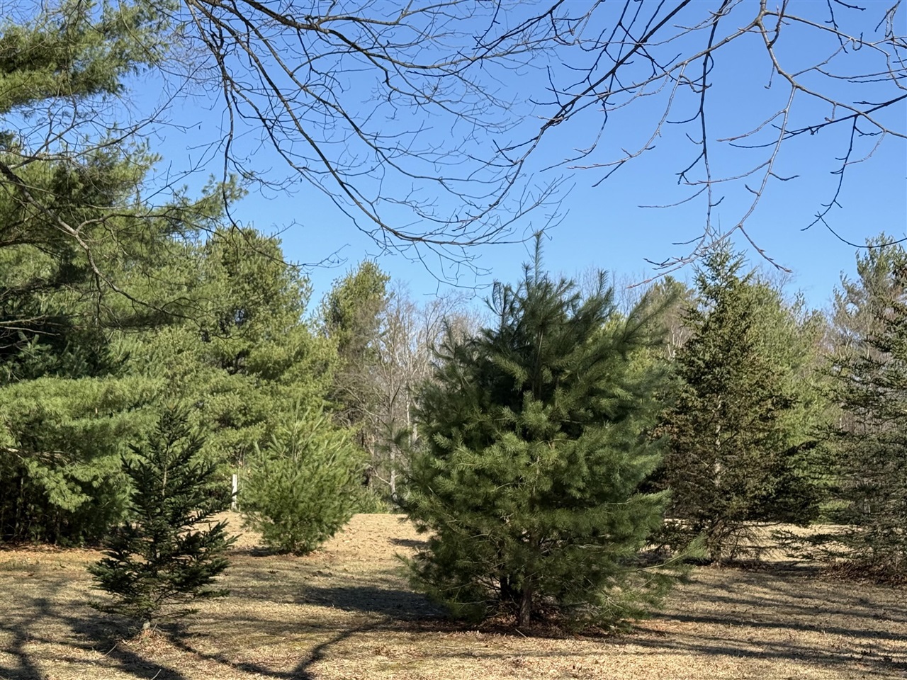 3345 W Madison Road, Hart, MI, 49420-8427