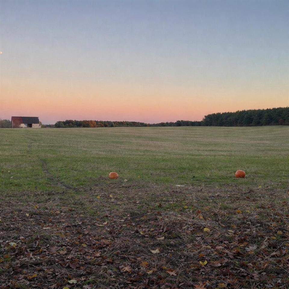 11661 75th Avenue, Mecosta, MI, 49332-9355